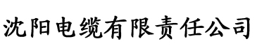 理论片第1页在线看电缆厂logo